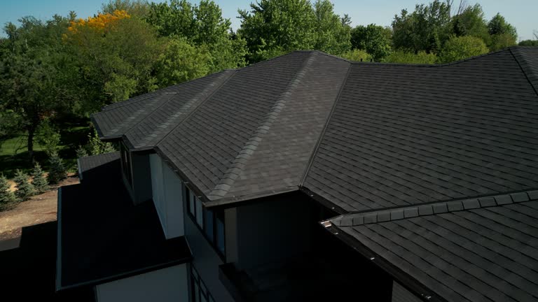 Best Roof Insulation Installation  in Hutchison, VA