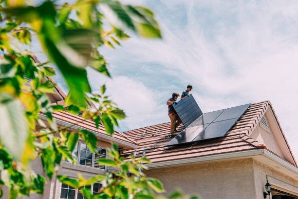 Best Roof Moss and Algae Removal  in Hutchison, VA